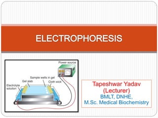 Tapeshwar Yadav
(Lecturer)
BMLT, DNHE,
M.Sc. Medical Biochemistry
 