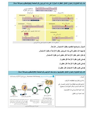14-‫اﻟﺸﻜﻞ‬ ‫رﻗﻢ‬)11(‫ﻋﻨ‬‫اﻟﺸﻜﻞ‬ ‫ﻮان‬:‫اﻟﺒﺮوﺗﯿﻦ‬ ‫ﺑﻨﺎء‬ ‫ﻋﻠﻰ‬ ‫اﻟﻤﺆﺛﺮة‬ ‫اﻟﻄﻔﺮات‬.‫اﻟﺼﻔﺤﺔ‬ ‫رﻗﻢ‬)66(‫اﻟﻤﻄﻠﻮب‬:‫اﺳﺌﻠﺔ‬ ‫ﺻﯿﺎﻏﺔ‬.
‫اﻟﺳؤال‬:1-‫اﻻﺳﺗﺑدال‬ ‫ﺑطﻔرة‬ ‫اﻟﻣﻘﺻود‬ ‫وﺿﺢ‬,‫اﻻزاﺣﺔ‬.
2-‫اﻟﺑروﺗﯾن‬ ‫ﺑﻧﺎء‬ ‫ﻓﻲ‬ ‫ﺧطورة‬ ‫اﺷد‬ ‫اﯾﮭﻣﺎ‬,‫اﻻﺳﺗﺑدال‬ ‫طﻔرة‬ ‫ام‬ ‫اﻻزاﺣﺔ‬ ‫طﻔرة‬.
3-‫ﻋﻠل‬:‫اﻻﺳﺗﺑدال‬ ‫طﻔرة‬ ‫ﻣن‬ ‫ﺧطورة‬ ‫اﻛﺛر‬ ‫اﻻزاﺣﺔ‬ ‫طﻔرة‬ ‫ﺗﻌﺗﺑر‬.
4-‫ﺧطورة‬ ‫اﻗل‬ ‫اﻻزاﺣﺔ‬ ‫طﻔرة‬ ‫ﺗﻛون‬ ‫ﻣﺗﻰ‬.
5-‫ﺧطورة‬ ‫اﻛﺛر‬ ‫اﻻزاﺣﺔ‬ ‫طﻔرة‬ ‫ﺗﻛون‬ ‫ﻣﺗﻰ‬.
6-‫ﺧطورة‬ ‫اﻛﺛر‬ ‫اﻻﺳﺗﺑدال‬ ‫طﻔرة‬ ‫ﺗﻛون‬ ‫ﻣﺗﻰ‬.
15-‫اﻟﺸﻜﻞ‬ ‫رﻗﻢ‬)3(‫اﻟﺸﻜﻞ‬ ‫ﻋﻨﻮان‬:‫ﺗﻜﻨﻮﻟﻮﺟﯿﺎ‬DNA‫اﻟﺘﺮﻛﯿﺐ‬ ‫ﻣﻌﺎد‬.‫اﻟﺼﻔﺤﺔ‬ ‫رﻗﻢ‬)99(‫اﻟﻤﻄﻠﻮب‬:‫اﺳﺌﻠﺔ‬ ‫ﺻﯿﺎﻏﺔ‬.
‫اﻟﺳؤال‬:
1-‫ﺗﻛﻧوﻟوﺟﯾﺎ‬ ‫اﺷرح‬DNA‫اﻟﺗرﻛﯾب‬ ‫ﻣﻌﺎد‬.
2-‫ﺗﻛﻧوﻟوﺟﯾﺎ‬ ‫ﺗﺗﺑﻊ‬DNA‫ﻋﻠﻰ‬ ‫ﻟﻠﺣﺻول‬ ‫اﻟﺗرﻛﯾب‬ ‫ﻣﻌﺎد‬
‫اﻟﺗﺑﻎ‬ ‫ﺗﺑرﻗش‬ ‫ﻟﻣرض‬ ‫ﻣﻘﺎوم‬ ‫ﻧﺑﺎت‬)‫ﺗوﺟﯾﮭﻲ‬ ‫ﺳؤال‬(
3-‫اﻟﺗﻛﻧوﻟوﺟﯾﺎ‬ ‫ھذه‬ ‫ﻓﻲ‬ ‫اﻟﺑﻼزﻣﯾد‬ ‫اھﻣﯾﺔ‬ ‫ﻣﺎ‬.
4-‫اﻟﻘطﻊ‬ ‫اﻧزﯾم‬ ‫اھﻣﯾﺔ‬ ‫ﻣﺎ‬.
 
