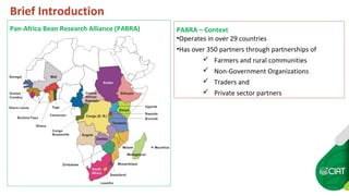 Monitoring & Evaluation and ICTs4D