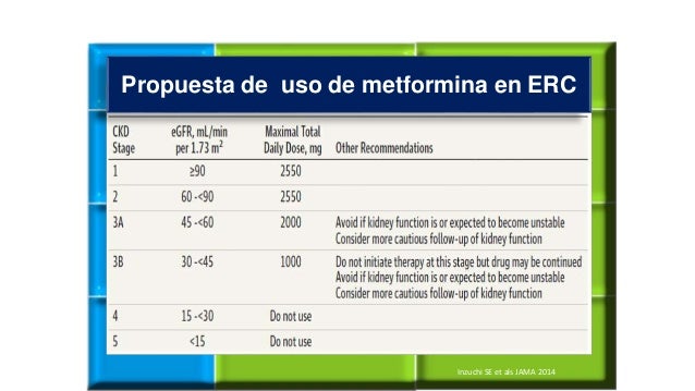 Metformina y enfermedad renal crónica
