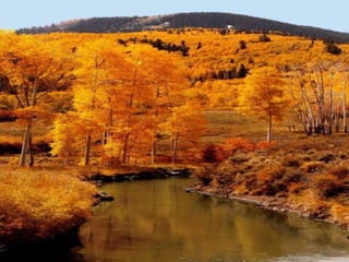 литературная гостиная "Осенние посиделки"