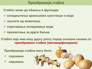 Stablo | PPT