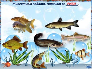 Живеят във водата. Наричат се _______.<br /><br />
 
