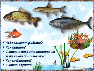  Къде живеят рибите?<br /><br />
 Как дишат?<br /><br />
 С какво е покрито тялото им<br /><br />
и на какво прилича то?<br /><br />
 Как се движат?<br /><br />
 С какво плуват?<br /><br />
 