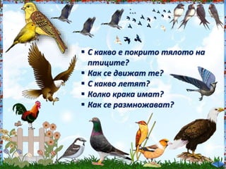  С какво е покрито тялото на<br /><br />
птиците?<br /><br />
 Как се движат те?<br /><br />
 С какво летят?<br /><br />
 Колко крака имат?<br /><br />
 Как се размножават?<br /><br />
 
