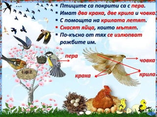  Птиците са покрити са с пера.<br /><br />
 Имат два крака, две крила и човка.<br /><br />
 С помощта на крилата летят.<br /><br />
 Снасят яйца, които мътят.<br /><br />
 По-късно от тях се излюпват<br /><br />
рожбите им.<br /><br />
 