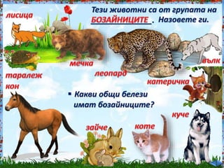 Тези животни са от групата на<br /><br />
______________. Назовете ги.<br /><br />
 Какви общи белези<br /><br />
имат бозайниците?<br /><br />
 