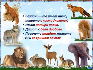  Бозайниците имат тяло,<br /><br />
покрито с косми /козина/.<br /><br />
 Имат четири крака.<br /><br />
 Дишат с бели дробове.<br /><br />
 Повечето раждат малките<br /><br />
си и се грижат за тях.<br /><br />
 