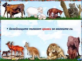 Бозайниците полагат грижи за малките си.<br /><br />
 