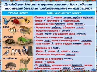 Да обобщим: Назовете групите животни. Кои са общите<br /><br />
характерни белези на представителите от всяка група?<br /><br />
ГРУПА ЖИВОТНИ ОБЩИ ХАРАКТЕРНИ БЕЛЕЗИ:<br /><br />
- Тялото им е покрито с ______.<br /><br />
- Имат __ крака.<br /><br />
- Те _________ малките си и се _________ за тях.<br /><br />
- Малките се хранят с _______ / _______/.<br /><br />
НАСЕКОМИ<br /><br />
РИБИ<br /><br />
ВЛЕЧУГИ<br /><br />
- Тялото е от __ части: ______, ______ и ________.<br /><br />
- Имат __ крачета и __ чифта криле.<br /><br />
- Движат се чрез ________ като _______.<br /><br />
- Живеят във ________ и дишат с ______.<br /><br />
- Тялото е покрито с _______.<br /><br />
- Имат ______ и се движат като _______.<br /><br />
- Тялото им е покрито с ______.<br /><br />
- Имат _____ кожа, а костенурките - ________.<br /><br />
- Някои имат __ крака, а други _______ крака.<br /><br />
ПТИЦИ<br /><br />
БОЗАЙНИЦИ<br /><br />
- Покрити са с _____.<br /><br />
- Имат __ крака, __ крила и ______.<br /><br />
- С помощта на крилата _______.<br /><br />
3 глава гърди коремче<br /><br />
6 2<br /><br />
крилете летят<br /><br />
водата хриле<br /><br />
люспи<br /><br />
перки плуват<br /><br />
люспи<br /><br />
суха черупка<br /><br />
4 нямат<br /><br />
пера<br /><br />
2 2 човка<br /><br />
летят<br /><br />
косми<br /><br />
4<br /><br />
раждат грижат<br /><br />
мляко бозаят<br /><br />
 
