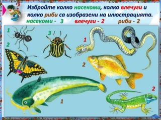 Избройте колко насекоми, колко влечуги и<br /><br />
колко риби са изобразени на илюстрацията.<br /><br />
насекоми - влечуги - риби -<br /><br />
1<br /><br />
2<br /><br />
3<br /><br />
3<br /><br />
1<br /><br />
2<br /><br />
2<br /><br />
1<br /><br />
2<br /><br />
2<br /><br />
 