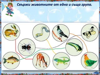 Свържи животните от една и съща група.<br /><br />
 
