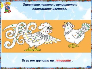 Оцветете петела и кокошката с<br /><br />
показаните цветове.<br /><br />
Те са от групата на __________.<br /><br />
 
