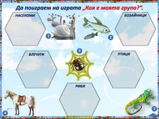 Да поиграем на играта „Коя е моята група?“.<br /><br />
НАСЕКОМИ<br /><br />
ВЛЕЧУГИ<br /><br />
РИБИ<br /><br />
ПТИЦИ<br /><br />
БОЗАЙНИЦИ<br /><br />
1 2<br /><br />
3<br /><br />
4<br /><br />
5<br /><br />
Кликвай на номера.<br /><br />
 