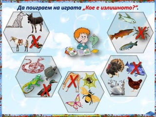Да поиграем на играта „Кое е излишното?“.<br /><br />
Кликвай на излишното животно.<br /><br />
 
