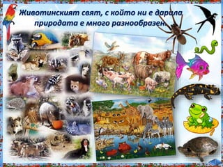 Животинският свят, с който ни е дарила<br /><br />
природата е много разнообразен.<br /><br />
 