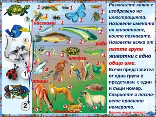 Разкажете какво е<br /><br />
изобразено на<br /><br />
илюстрацията.<br /><br />
Назовете имената<br /><br />
на животните,<br /><br />
които познавате.<br /><br />
Назовете всяка от<br /><br />
петте групи<br /><br />
животни с едно<br /><br />
общо име.<br /><br />
Всеки представител<br /><br />
от една група е<br /><br />
представен с един<br /><br />
и същи номер.<br /><br />
Свържете и поста-<br /><br />
вете правилно<br /><br />
номерата.<br /><br />
Кликни върху номера.<br /><br />
насекоми<br /><br />
риби<br /><br />
влечуги<br /><br />
птици<br /><br />
бозайници<br /><br />
1<br /><br />
1<br /><br />
1<br /><br />
1<br /><br />
1<br /><br />
1<br /><br />
1<br /><br />
2<br /><br />
2 2<br /><br />
2<br /><br />
3 3 3<br /><br />
4<br /><br />
4<br /><br />
4<br /><br />
4<br /><br />
4<br /><br />
4<br /><br />
5<br /><br />
5<br /><br />
5 5<br /><br />
5<br /><br />
 