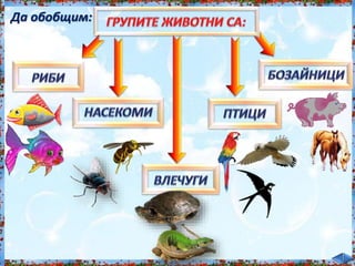 Да обобщим:<br /><br />
 