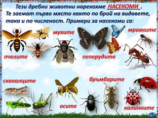 Тези дребни животни нарекохме ___________.<br /><br />
Те заемат първо място както по брой на видовете,<br /><br />
така и по численост. Примери за насекоми са:<br /><br />
 