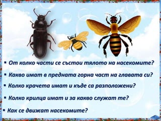  От колко части се състои тялото на насекомите?<br /><br />
 Какво имат в предната горна част на главата си?<br /><br />
 Колко крачета имат и къде са разположени?<br /><br />
 Колко крилца имат и за какво служат те?<br /><br />
 Как се движат насекомите?<br /><br />
 