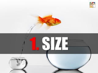 1. SIZE
 