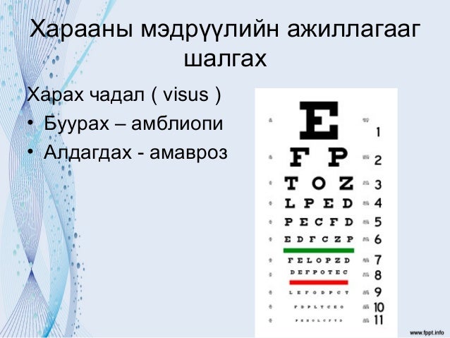 12 хос мэдрэл