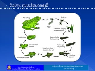 ກາຌຑັຈ຋ະຌາຘໃ ກາຌປຼຌ-ກາຌຘບຌ/Media development
ຘະຊາຍັຌຑັຈ຋ະຌາບາຆີທະຘຶກຘາ
Vocational Education Development Institute ຿ຈງ: ບ໋ບຈ ຋ໍາຓະທ຺ຄ
 ຉ຺ທດໃ າຄ: ຃ຸຌຎະ຿ນງຈຂບຄຘໃ
 