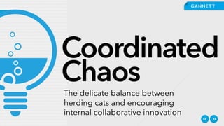 Kevin Poortinga - Controlled Chaos: The Balance Between Herding Cats and Collaborative Innovation
