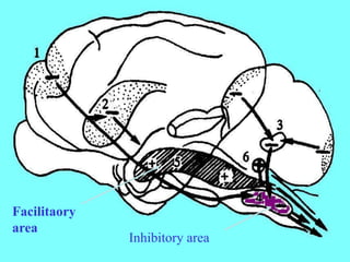 Facilitaory
area
Inhibitory area
 