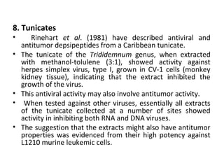 Tunicate Extract 12. marine bioactive_compounds | PPT