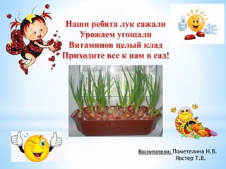 Воспитатели: Пометелина Н.В.
Явстер Т.В.
 