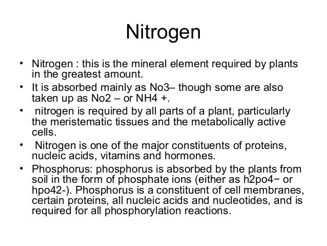 mineral nutrition class 11 pdf