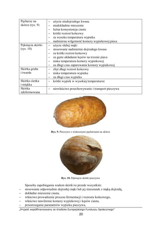„Projekt współfinansowany ze środków Europejskiego Funduszu Społecznego”
20
Pęcherze na
skórce (rys. 9)
− użycie niedojrzałego kwasu
− niedokładnie mieszenie
− luźna konsystencja ciasta
− krótki rozrost końcowy
− za wysoka temperatura wypieku
− nadmierna wilgotność komory wypiekowej pieca
Pęknięcia skórki
(rys. 10)
− użycie słabej mąki
− stosowanie nadmiernie dojrzałego kwasu
− za krótki rozrost końcowy
− za gęste układanie kęsów na trzonie pieca
− niska temperatura komory wypiekowej
− za długi czas zaparowania komory wypiekowej
Skórka gruba
i twarda
− zbyt długi rozrost końcowy
− niska temperatura wypieku
− za długi czas wypieku
Skórka cienka
i miękka
− krótki wypiek w wysokiej temperaturze
Skórka
zdeformowana
− niewłaściwe przechowywanie i transport pieczywa
Rys. 9. Pieczywo z widocznymi pęcherzami na skórce
Rys. 10. Pęknięcia skórki pieczywa
Sposoby zapobiegania wadom skórki to przede wszystkim:
− stosowanie odpowiednio dojrzałej mąki lub jej mieszanek z mąką dojrzałą,
− dokładne mieszenie ciasta,
− właściwe prowadzenie procesu fermentacji i rozrostu końcowego,
− właściwe nawilżenie komory wypiekowej i kęsów ciasta,
− przestrzeganie parametrów wypieku pieczywa,
 