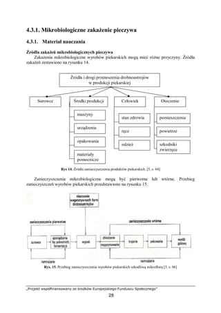 „Projekt współfinansowany ze środków Europejskiego Funduszu Społecznego”
28
4.3.1. Mikrobiologiczne zakażenie pieczywa
4.3.1. Materiał nauczania
Źródła zakażeń mikrobiologicznych pieczywa
Zakażenia mikrobiologiczne wyrobów piekarskich mogą mieć różne przyczyny. Źródła
zakażeń zestawiono na rysunku 14.
Rys 14. Źródła zanieczyszczenia produktów piekarskich. [5, s. 64]
Zanieczyszczenia mikrobiologiczne mogą być pierwotne lub wtórne. Przebieg
zanieczyszczeń wyrobów piekarskich przedstawiono na rysunku 15.
Rys. 15. Przebieg zanieczyszczenia wyrobów piekarskich szkodliwą mikroflorą [5, s. 66]
Surowce Środki produkcji Człowiek Otoczenie
maszyny
urządzenia
opakowania
materiały
pomocnicze
stan zdrowia
ręce
odzież
pomieszczenia
szkodniki
zwierzęce
Źródła i drogi przenoszenia drobnoustrojów
w produkcji piekarskiej
powietrze
 