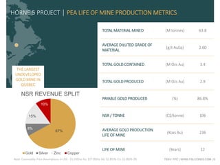 TSXV: FPC | WWW.FALCORES.COM | 9
TOTAL MATERIAL MINED (M tonnes) 63.8
AVERAGE DILUTED GRADE OF
MATERIAL
(g/t AuEq) 2.60
TOTAL GOLD CONTAINED (M Ozs Au) 3.4
TOTAL GOLD PRODUCED (M Ozs Au) 2.9
PAYABLE GOLD PRODUCED (%) 86.8%
NSR / TONNE (C$/tonne) 106
AVERAGE GOLD PRODUCTION
LIFE OF MINE
(Kozs Au) 236
LIFE OF MINE (Years) 12
HORNE 5 PROJECT | PEA LIFE OF MINE PRODUCTION METRICS
THE LARGEST
UNDEVELOPED
GOLD MINE IN
QUEBEC
67%
8%
15%
10%
NSR REVENUE SPLIT
Gold Silver Zinc Copper
Note: Commodity Price Assumptions in US$ - $1,250/oz Au, $17.00/oz AG, $2.85/lb CU, $1.00/lb ZN
 