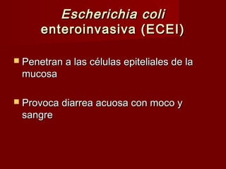 Escherichia coliEscherichia coli
enteroinvasiva (ECEI)enteroinvasiva (ECEI)
 Penetran a las células epiteliales de laPenetran a las células epiteliales de la
mucosamucosa
 Provoca diarrea acuosa con moco yProvoca diarrea acuosa con moco y
sangresangre
 