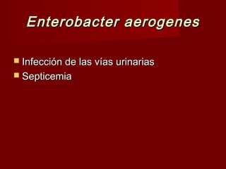 Enterobacter aerogenesEnterobacter aerogenes
 Infección de las vías urinariasInfección de las vías urinarias
 SepticemiaSepticemia
 