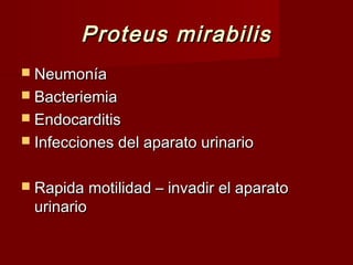 Proteus mirabilisProteus mirabilis
 NeumoníaNeumonía
 BacteriemiaBacteriemia
 EndocarditisEndocarditis
 Infecciones del aparato urinarioInfecciones del aparato urinario
 Rapida motilidad – invadir el aparatoRapida motilidad – invadir el aparato
urinariourinario
 