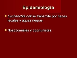 EpidemiologíaEpidemiología
 Escherichia coliEscherichia coli se transmite por hecesse transmite por heces
fecales y aguas negrasfecales y aguas negras
 Nosocomiales y oportunistasNosocomiales y oportunistas
 