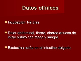 Datos clínicosDatos clínicos
 Incubación 1-2 díasIncubación 1-2 días
 Dolor abdominal, fiebre, diarrea acuosa deDolor abdominal, fiebre, diarrea acuosa de
inicio súbito con moco y sangreinicio súbito con moco y sangre
 Exotoxina actúa en el intestino delgadoExotoxina actúa en el intestino delgado
 