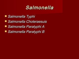 SalmonellaSalmonella
 Salmonella TyphiSalmonella Typhi
 Salmonella CholeraesuisSalmonella Choleraesuis
 Salmonella Paratyphi ASalmonella Paratyphi A
 Salmonella Paratyphi BSalmonella Paratyphi B
 