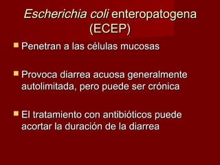 Escherichia coliEscherichia coli enteropatogenaenteropatogena
(ECEP)(ECEP)
 Penetran a las células mucosasPenetran a las células mucosas
 Provoca diarrea acuosa generalmenteProvoca diarrea acuosa generalmente
autolimitada, pero puede ser crónicaautolimitada, pero puede ser crónica
 El tratamiento con antibióticos puedeEl tratamiento con antibióticos puede
acortar la duración de la diarreaacortar la duración de la diarrea
 