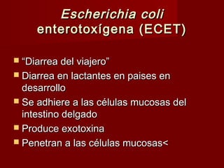 Escherichia coliEscherichia coli
enterotoxígena (ECET)enterotoxígena (ECET)
 ““Diarrea del viajero”Diarrea del viajero”
 Diarrea en lactantes en paises enDiarrea en lactantes en paises en
desarrollodesarrollo
 Se adhiere a las células mucosas delSe adhiere a las células mucosas del
intestino delgadointestino delgado
 Produce exotoxinaProduce exotoxina
 Penetran a las células mucosas<Penetran a las células mucosas<
 