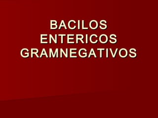 BACILOSBACILOS
ENTERICOSENTERICOS
GRAMNEGATIVOSGRAMNEGATIVOS
 