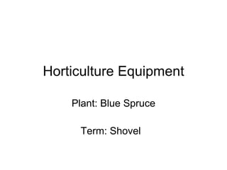 Horticulture Equipment Plant: Blue Spruce Term: Shovel  