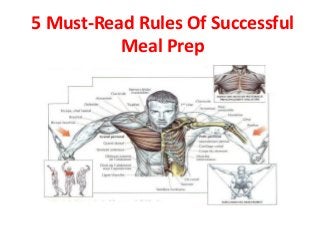 5 Must-Read Rules Of Successful
Meal Prep
 