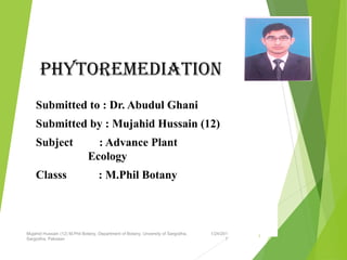 PHYTOREMEDIATION
Submitted to : Dr. Abudul Ghani
Submitted by : Mujahid Hussain (12)
Subject : Advance Plant
Ecology
Classs : M.Phil Botany
1/24/201
7
Mujahid Hussain (12) M.Phil Botany, Department of Botany, Unversity of Sargodha,
Sargodha, Pakistan
1
 