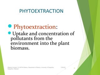 PHYTOEXTRACTION
Phytoextraction:
Uptake and concentration of
pollutants from the
environment into the plant
biomass.
1/24/201
7
Mujahid Hussain (12) M.Phil Botany, Department of Botany, Unversity of Sargodha,
Sargodha, Pakistan
16
 
