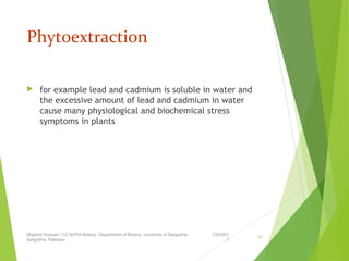 Phytoextraction
 for example lead and cadmium is soluble in water and
the excessive amount of lead and cadmium in water
cause many physiological and biochemical stress
symptoms in plants
1/24/201
7
Mujahid Hussain (12) M.Phil Botany, Department of Botany, Unversity of Sargodha,
Sargodha, Pakistan
19
 