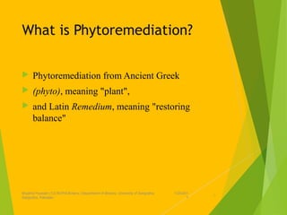What is Phytoremediation?
 Phytoremediation from Ancient Greek 
 (phyto), meaning "plant", 
 and Latin Remedium, meaning "restoring 
balance" 
1/24/201
7
Mujahid Hussain (12) M.Phil Botany, Department of Botany, Unversity of Sargodha,
Sargodha, Pakistan
2
 